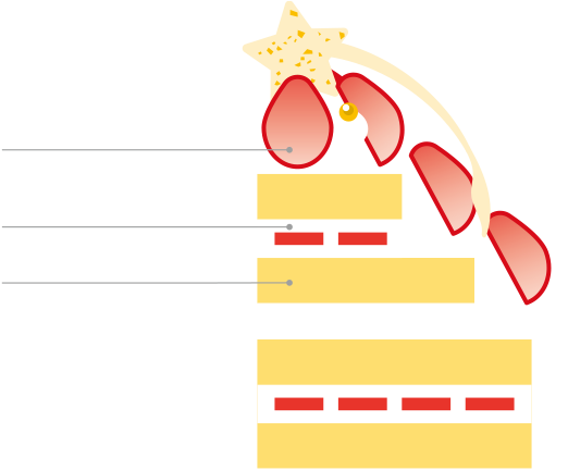 THE ストロベリーノエル 5号