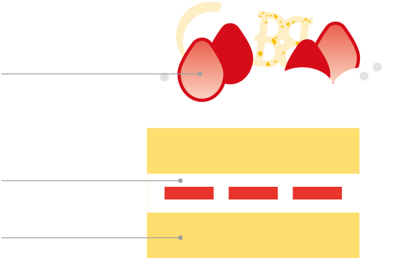 THE ストロベリーノエル 5号